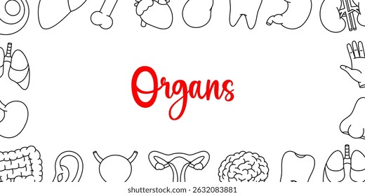 Human organs horizontal outline banner. Internal organs anatomy. Heart, kidneys, gallbladder, tooth, brain, eye, hand, nose, bone, ear, bladder