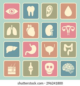 human organs icon
