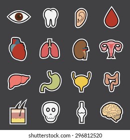 human organs icon