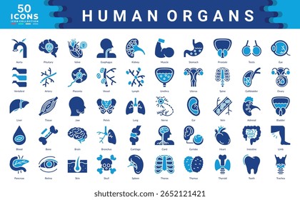 Human Organs icon collection. Simple  color fill vector illustrations.
