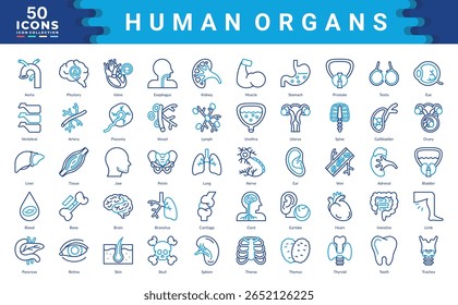 Colección del icono de órganos humanos. Ilustraciones vectoriales de contorno de color simples.