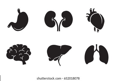 Human Organs Icon Collection - Stomach, Kidney, Heart, Brain, Liver, Lungs. Vector Art.