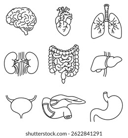 Human Organs Icon Pack - Editable Anatomy Icons Hand Drawn Vector Line Set