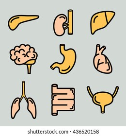 Human organs icon set.