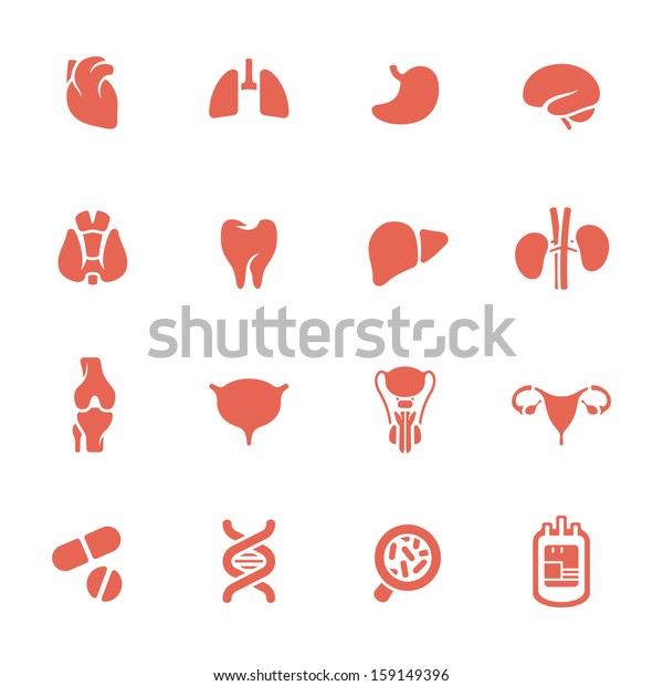 Human Organs Icon Set Stock Vector (Royalty Free) 159149396 | Shutterstock