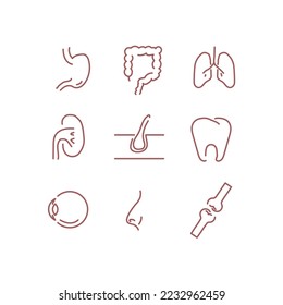 Symbol für menschliche Organe