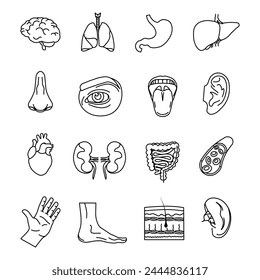 Human organs icon. Human organs set. Human body anatomy organ icons. Line icons.