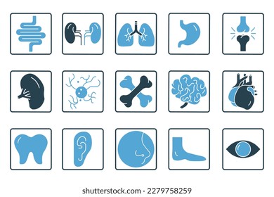Human organs icon set illustration. Intestines, kidneys, lungs, stomach, joints, spleen, brain, liver, nose and others. Solid icon style. Simple vector design editable