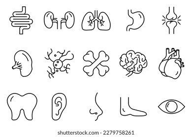 Human organs icon set illustration. Intestines, kidneys, lungs, stomach, joints, spleen, brain, liver, nose and others. Line icon style. Simple vector design editable