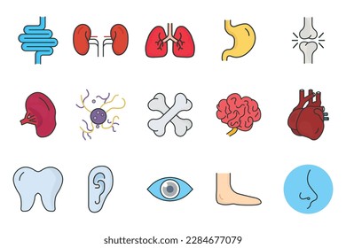 Human organs icon set illustration. Intestines, kidneys, lungs, stomach, joints, spleen, brain, liver, nose and others. Flat line icon style, lineal color. Simple vector design editable