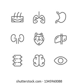 Human organs icon set including epidermis, lung, stomach, kidney, heart, liver, spine, brain, eye