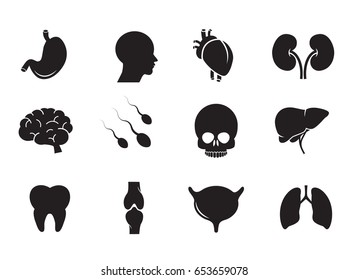 Human organs icon set isolated on white background. Vector art.