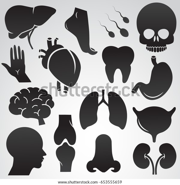 Human Organs Icon Set Isolated On Stock Vector Royalty Free 653555659 Shutterstock 9619