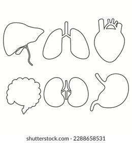 Human organs icon set outlines. Vector