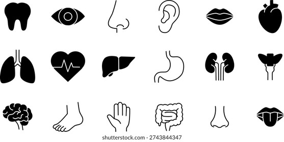 Human Organs Icon Set. Human Organs Thin Line and solid Illustrations. Editable Vector Signs Collection