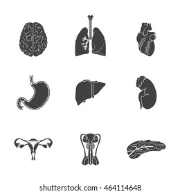 Human organs icon set. Vector illustration.