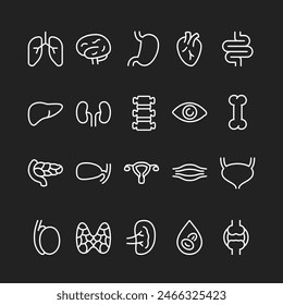 Icon Set für menschliche Organe, weiß auf schwarzem Hintergrund. In: Internal Anatomy and Body Structures. Anpassbare Linienstärke