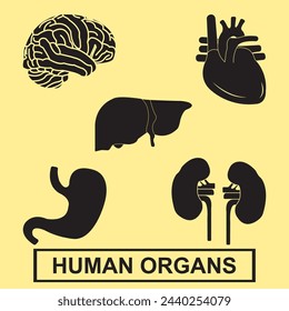 Human organs icon vector illustration simple design