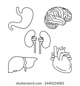 Icono de órganos humanos ilustración vectorial diseño simple