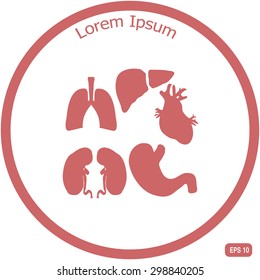 Human organs icons
