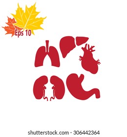 Human organs icons