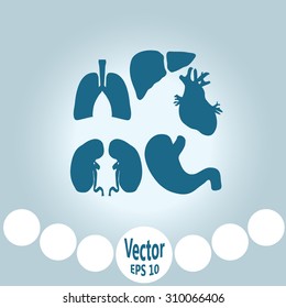 Human organs icons