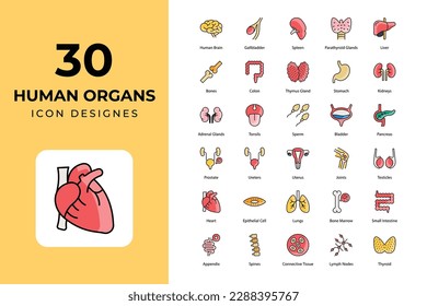 Human Organs icons Collection. medical icons, 