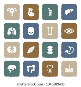 Human Organs Icons. Grunge Color Flat Design. Vector Illustration.