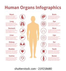 Human organs icons with male figure infographics set vector illustration