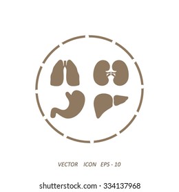 Human organs icons . Medical symbols.