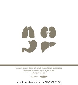 Human organs icons . Medical symbols.