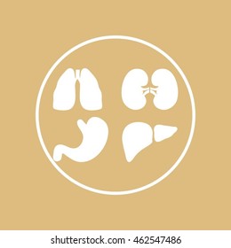 Human organs icons . Medical symbols.