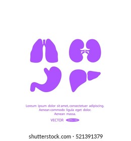 Human organs icons . Medical symbols.