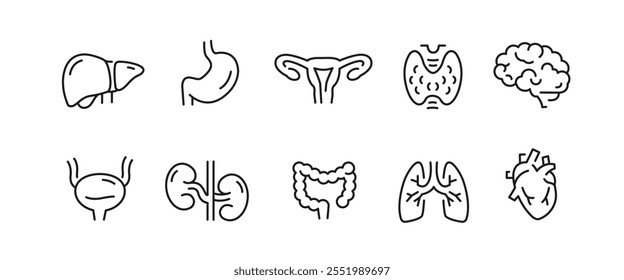 Iconos de órganos humanos. Conjunto de 10 órganos humanos de moda iconos mínimos. Ejemplo: riñón, columna vertebral, pulmones, estómago, icono del corazón. Signos de diseño para la página de Web, App móvil, diseño de embalaje. Ilustración vectorial.