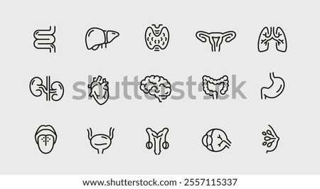 Human organs icons. Set of 15 human organs trendy minimal icons. Example: kidney, spine, lungs, stomach, heart icon. Design signs for web page, mobile app, packaging design. Vector illustration.