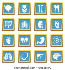Human organs icons set in azur color isolated vector illustration for web and any design