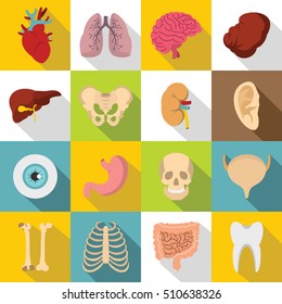 Human organs icons set. Body, kidney and tooth flat icons. Biology vector illustration