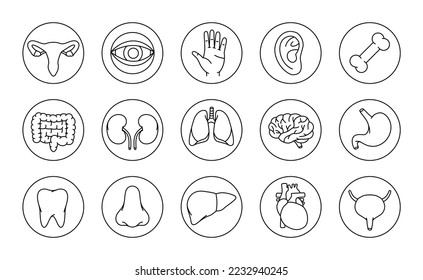Human organs icons set. Brain, tooth, ear, intestines, stomach, nose, liver, bone, hand, kidneys, lungs, eyeball icons. Human organ outline icons