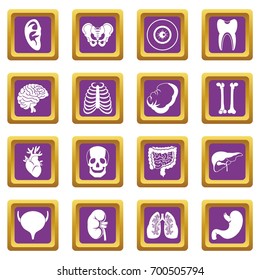 Human organs icons set in purple color isolated vector illustration for web and any design