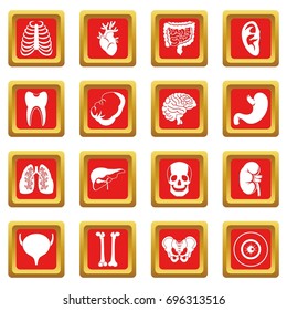 Human organs icons set in red color isolated vector illustration for web and any design