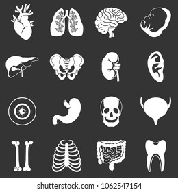 Human organs icons set vector white isolated on grey background 