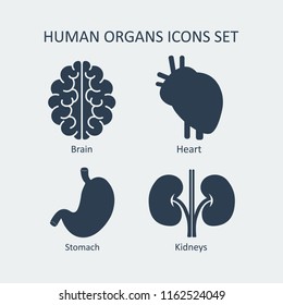 Human organs icons set. Vector illustration