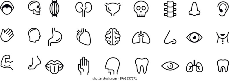 Human Organs Icons vector design 