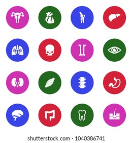 Human Organs Icons. White Flat Design In Circle. Vector Illustration. 