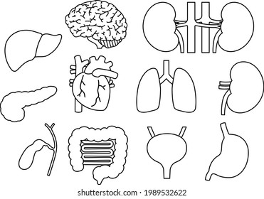 Human organs isolated vector illustrations　set.