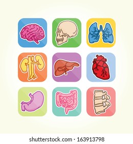 Human organs isolated vector icons