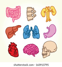 Organs Pop Art Set Vector Illustration Stock Vector (Royalty Free ...