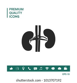 Human organs. Kidney icon