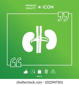 Human organs. Kidney icon