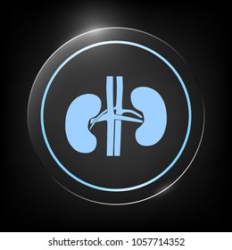 Human organs. Kidney icon